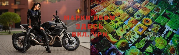 ПСИЛОЦИБИНОВЫЕ ГРИБЫ Алексеевка