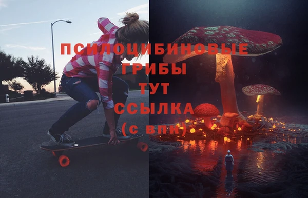 ПСИЛОЦИБИНОВЫЕ ГРИБЫ Алексеевка