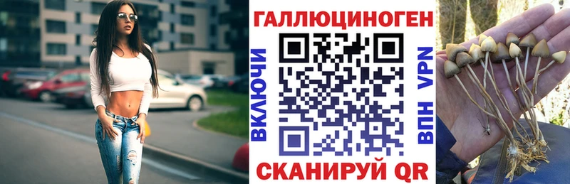 даркнет сайт  Дмитров  Псилоцибиновые грибы Psilocybe 