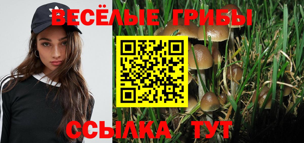 Дмитров  Псилоцибиновые грибы GOLDEN TEACHER  Вход с VPN 