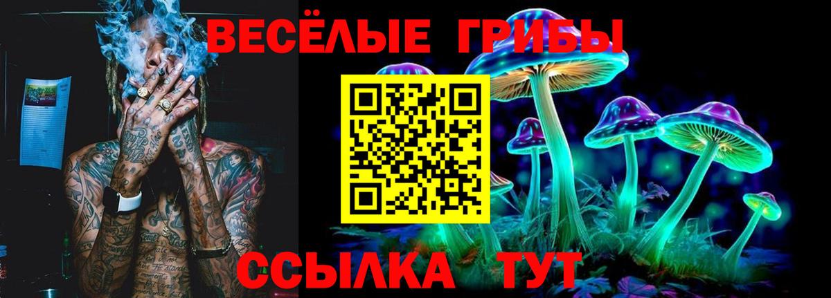 Галлюциногенные грибы мухоморы Дмитров